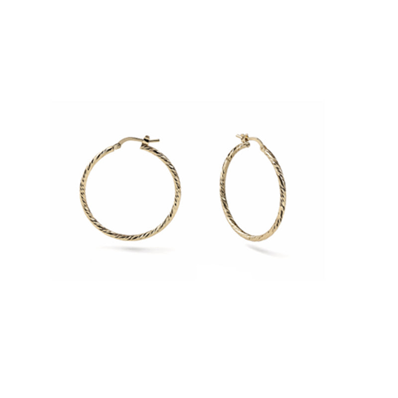 1ARアクセサリーフープピアス 31960